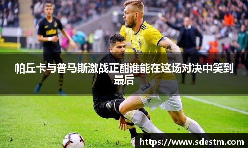 sunbet申搏官网