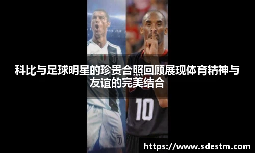 sunbet申搏官网