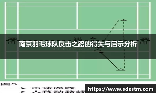 南京羽毛球队反击之路的得失与启示分析