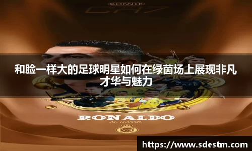 和脸一样大的足球明星如何在绿茵场上展现非凡才华与魅力